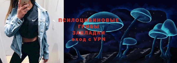 ешки Володарск