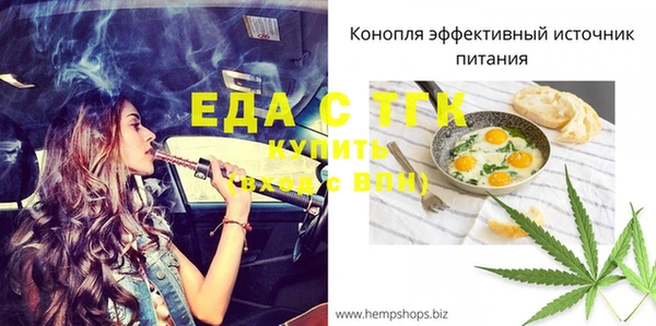 шишки Тавда