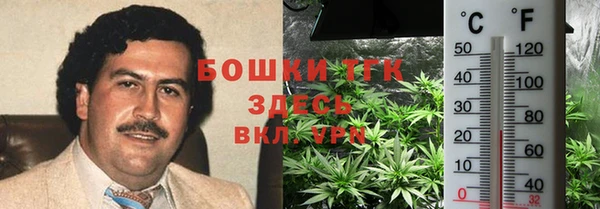 ешки Володарск