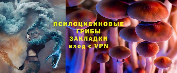 гашик Волосово